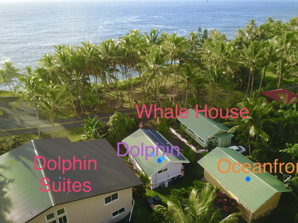 The Dolphin Cottage At Kehena Beach Luaran gambar